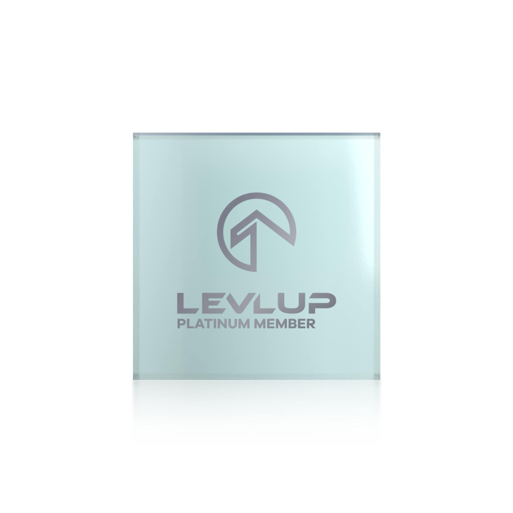 LevlUp Platinum Award